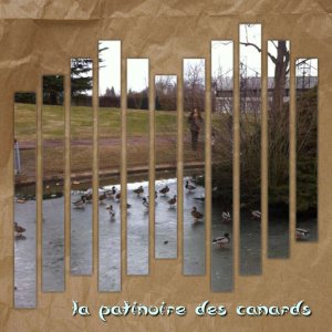 patinoire_des_canards