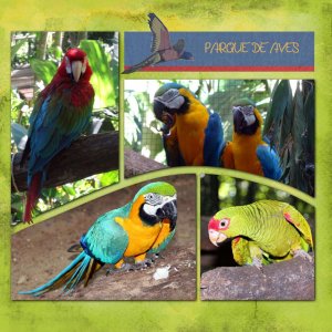 Parque de Aves