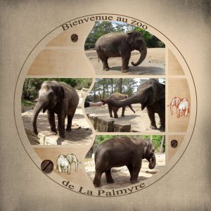 Zoo de La Palmyre