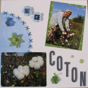 coton (1)