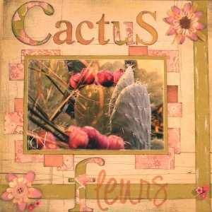 cactus en fleur