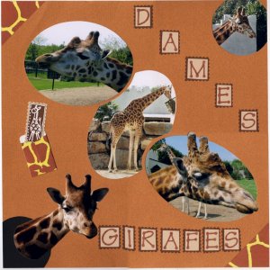 dames girafes