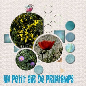 petit_air_de_printemps_