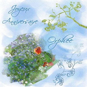 Anniversaire Orphée