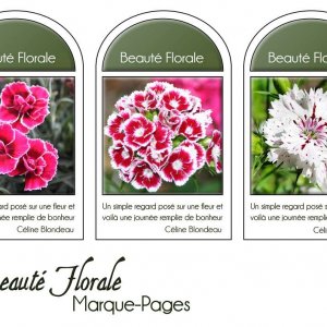 10-MARQUE-PAGES - BEAUTE FLORALE