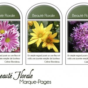 11-MARQUE-PAGES - BEAUTE FLORALE