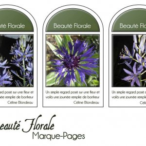 12-MARQUE-PAGES - BEAUTE FLORALE