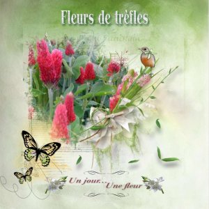 fleurs_de_tr__fles