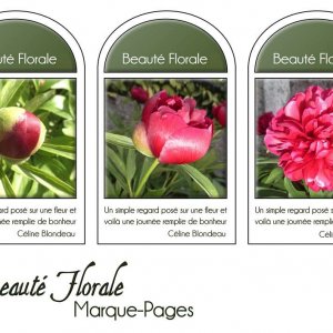 13-MARQUE-PAGES - BEAUTE FLORALE