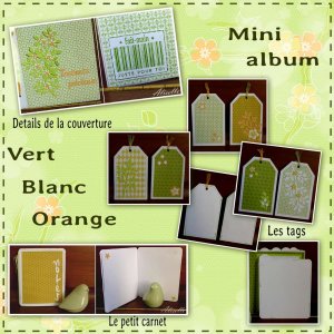 Mini album Vert Orange Blanc les tags