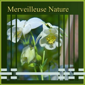 257-MERVEILLEUSE NATURE