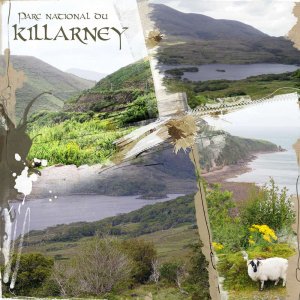 Parc national du Killarney Irlande