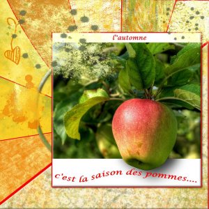 fruit de saison la pomme