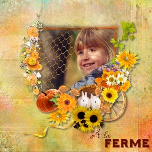 A la ferme