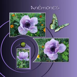 ANEMONES