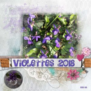 premieres violettes 2018-page pour Max