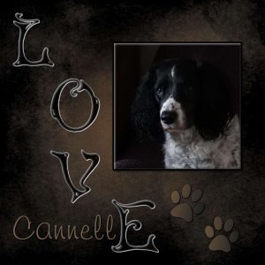 409-LOVE CANNELLE