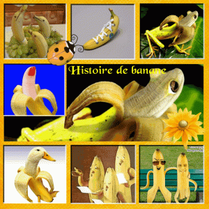 histoire de bananes