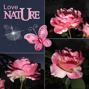 390 - LOVE NATURE