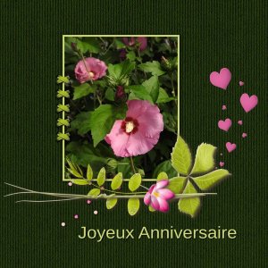 Fleur De Sel Michelle Joyeux Anniversaire Forum Le Monde Du Scrap