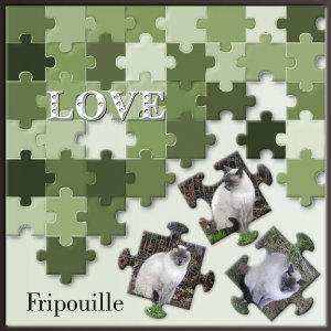 2-REALISATION - LOVE FRIPOUILLE