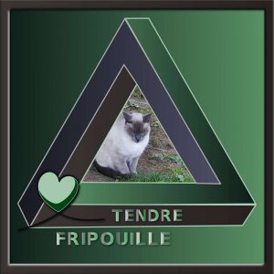 4-TENDRE FRIPOUILLE