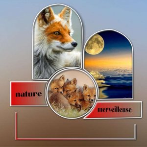 nature_je_te_protege