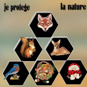 jeu_nature