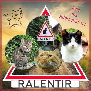 Ralentir