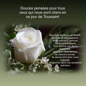 Douces pensées