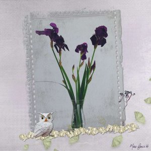 Mon bouquet d'iris du jardin