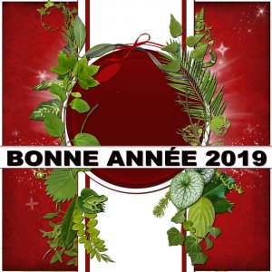 BONNE_ANNEE_20191