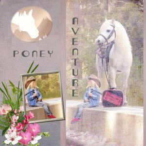Poney aventure