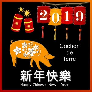 NOUVEL AN CHINOIS 2019