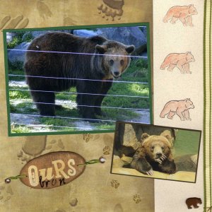 l'Ours