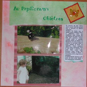 Au Papiliorama - Chiètres