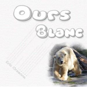 ours blanc