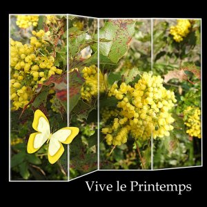 1-CHALLENGE PRINTEMPS - PRINTEMPS