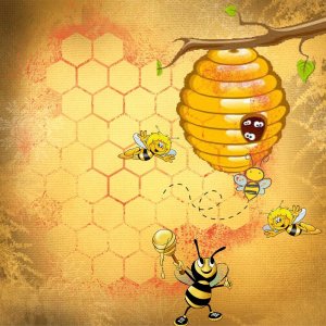 Challenge printemps abeille