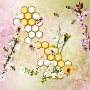 Challenge printemps: abeilles
