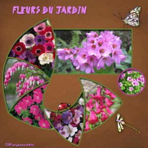 fleurs_du_jardin5