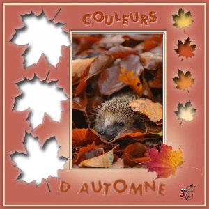 couleurs_d_automne_L__on