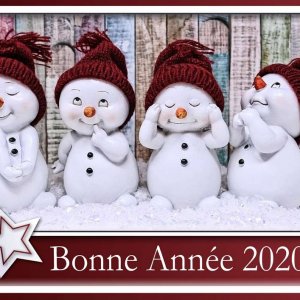 4-BONNE ANNEE 2020
