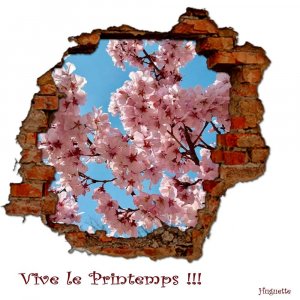 vive_le_printemps3