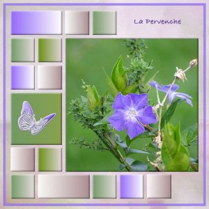 Challenge Marie-France - Fleurs de printemps