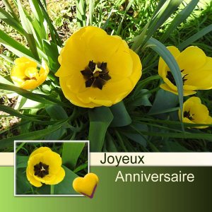 SOUSOUFAFA (FRANCOISE) - JOYEUX ANNIVERSAIRE