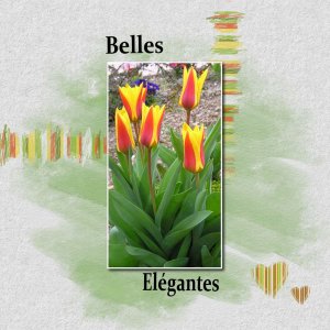 challenge printemps tulipes