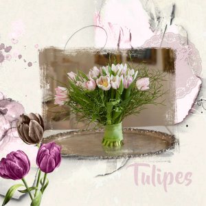 Challenge tulipes