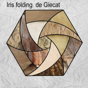 IRIS FOLDING DE GIECAT