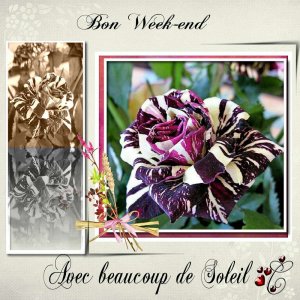 bon_week-end_avec_rose